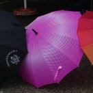 En attendant la pluie